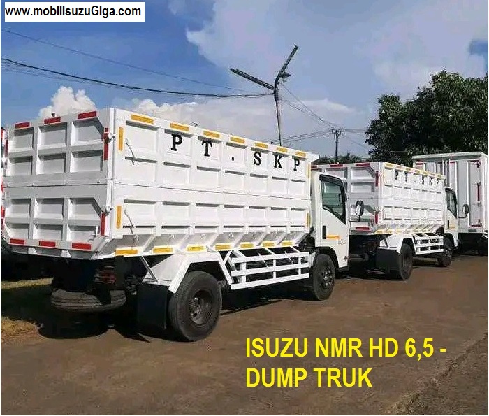 DUMP TRUK NMR HD