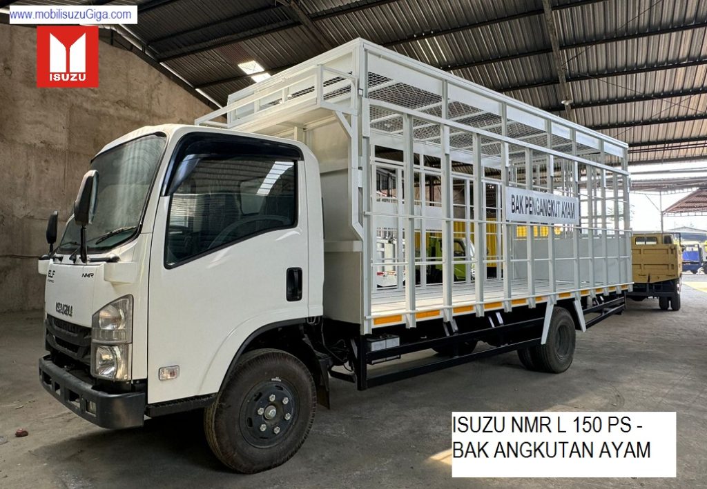TRUK BAK AYAM ISUZU NMR L